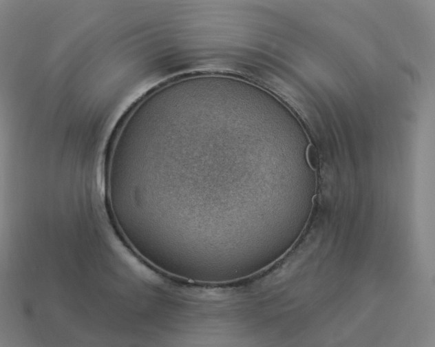 X0000113901084200910081824