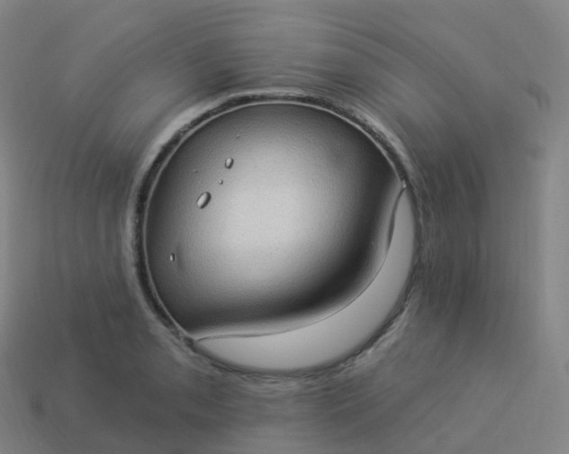 X0000113901085200910081824