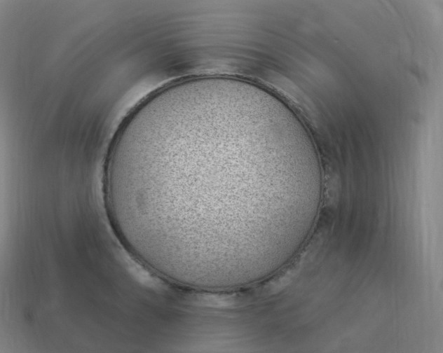 X0000113901086200910081824