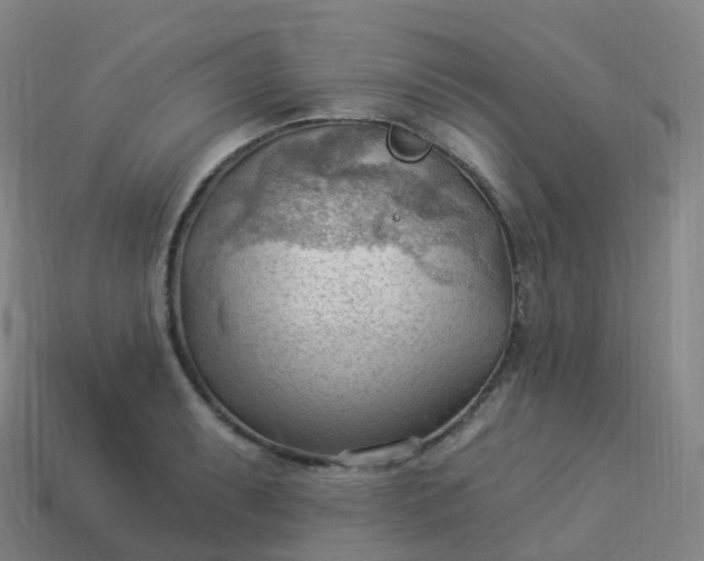 X0000113901087200910081824