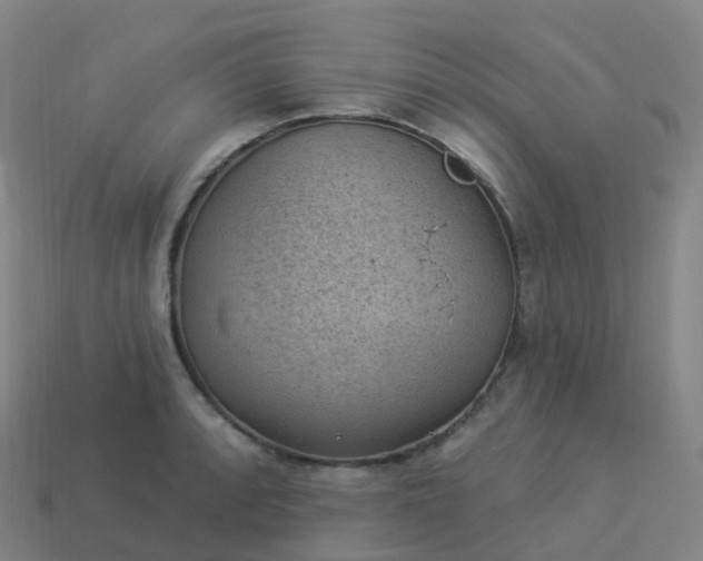 X0000113901088200910081824