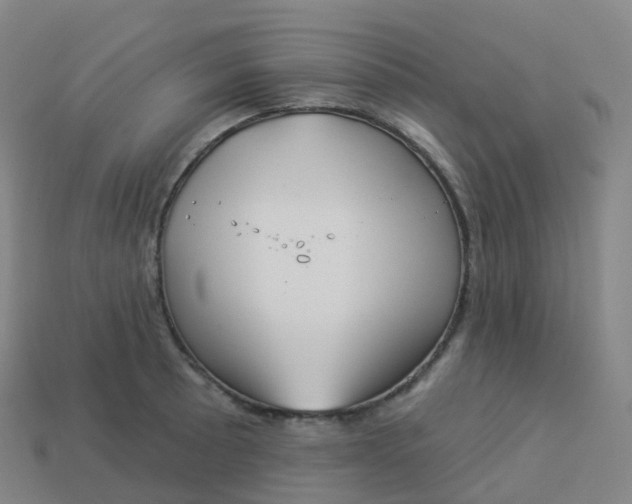 X0000113901089200910081824