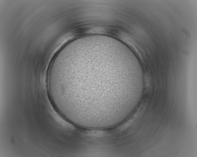 X0000113901090200910081824