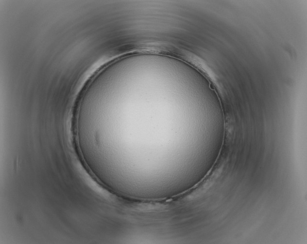 X0000113901091200910081824