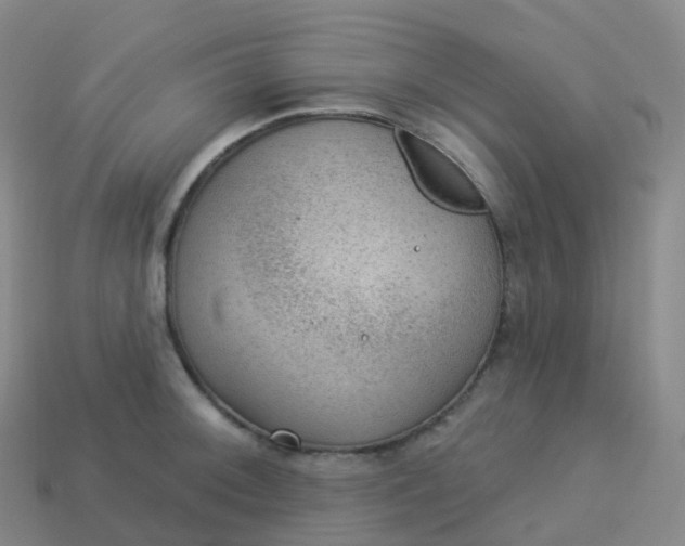 X0000113901092200910081824