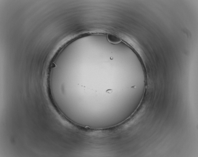 X0000113901093200910081824