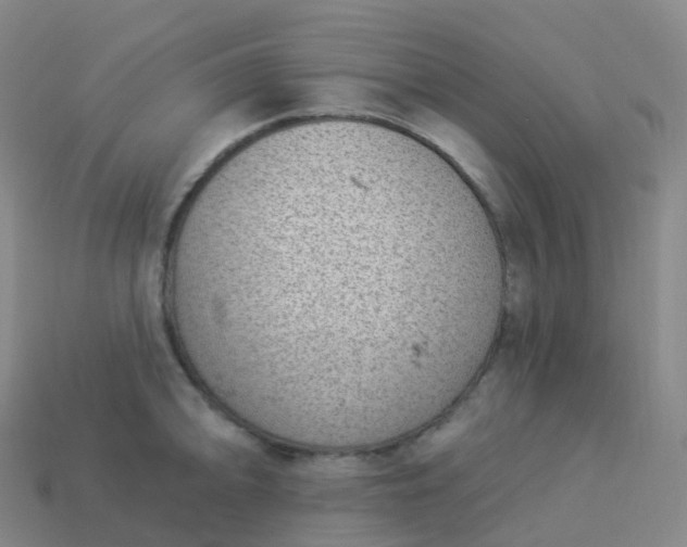 X0000113901094200910081824