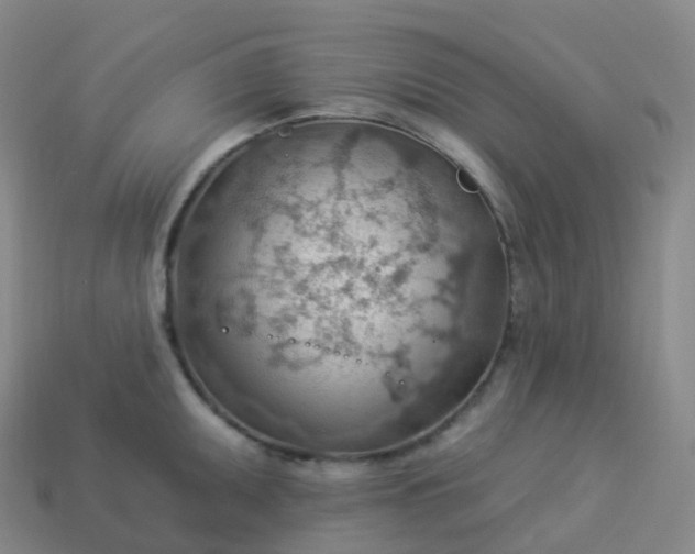 X0000113901095200910081824