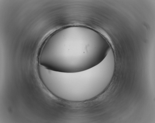 X0000113901096200910081824