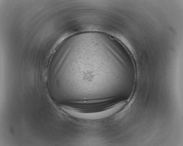 X0000113901097200910081824