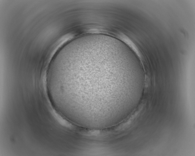 X0000113901098200910081824