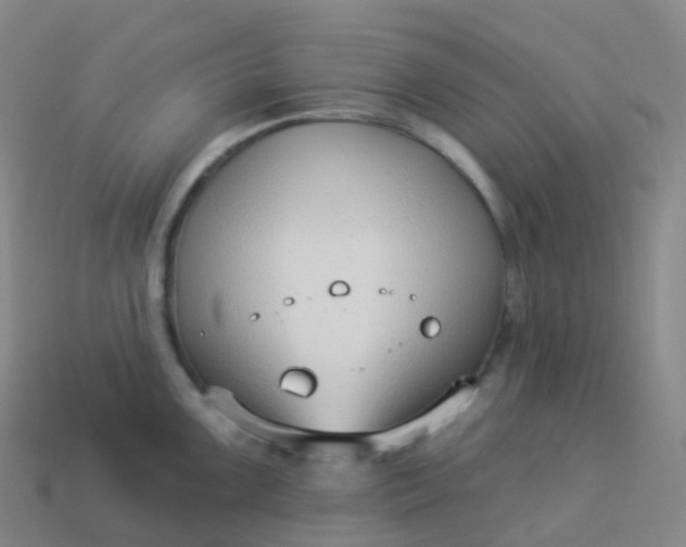 X0000113901099200910081824