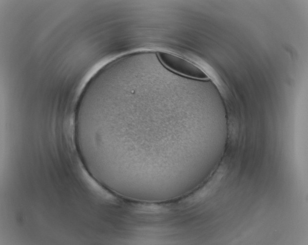 X0000113901100200910081824