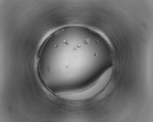 X0000113901101200910081824