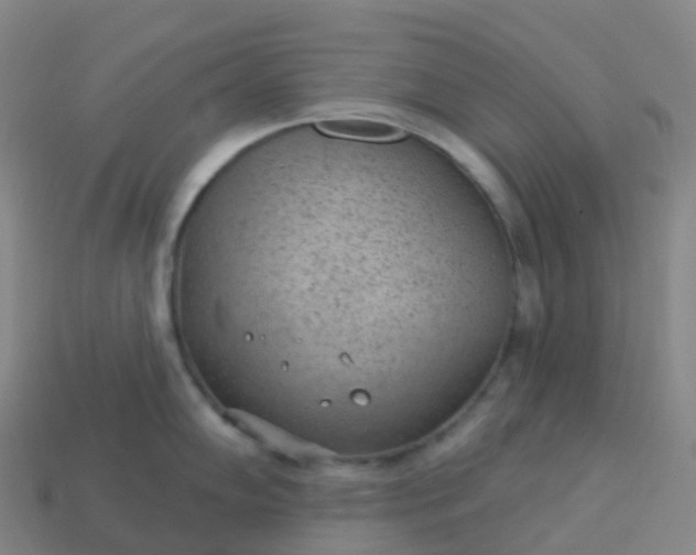 X0000113901102200910081824