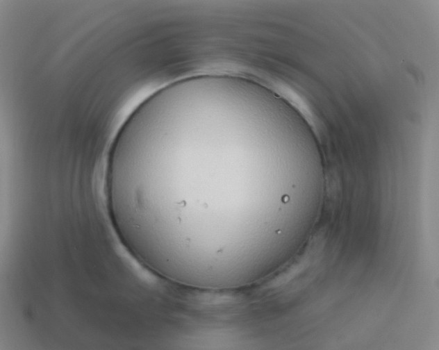 X0000113901103200910081824