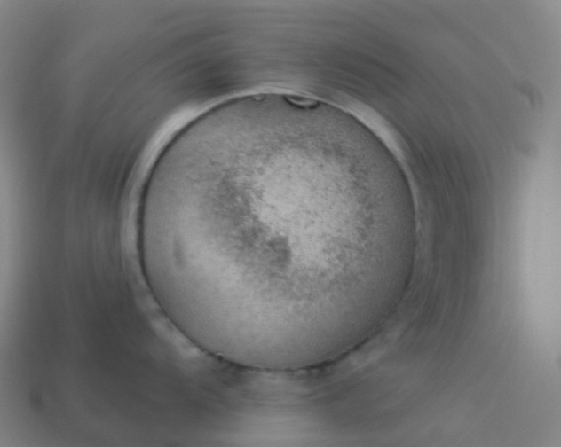 X0000113901104200910081824