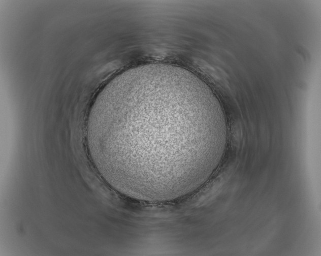 X0000113901105200910081823