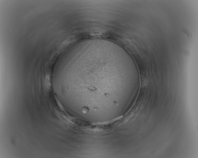 X0000113901106200910081823