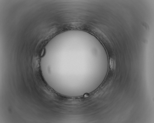 X0000113901107200910081823