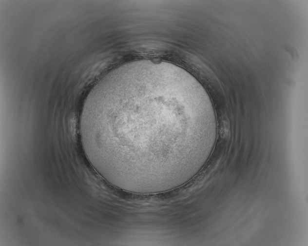 X0000113901108200910081823