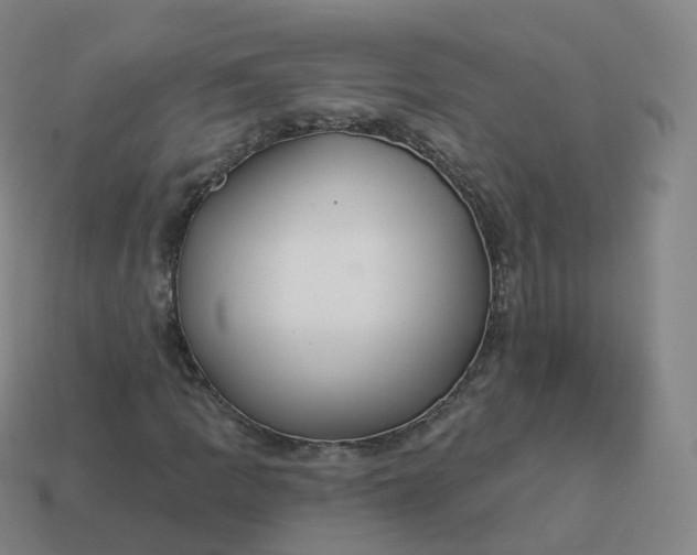 X0000113901109200910081823