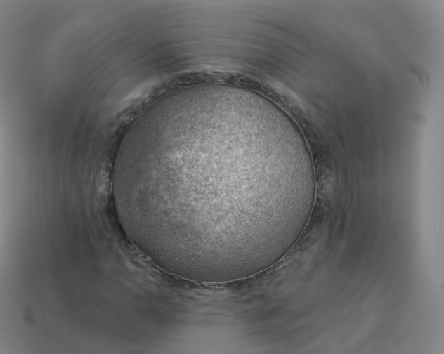 X0000113901110200910081823