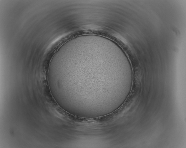 X0000113901112200910081823