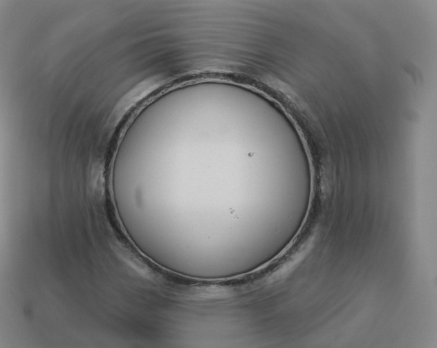 X0000113901113200910081823