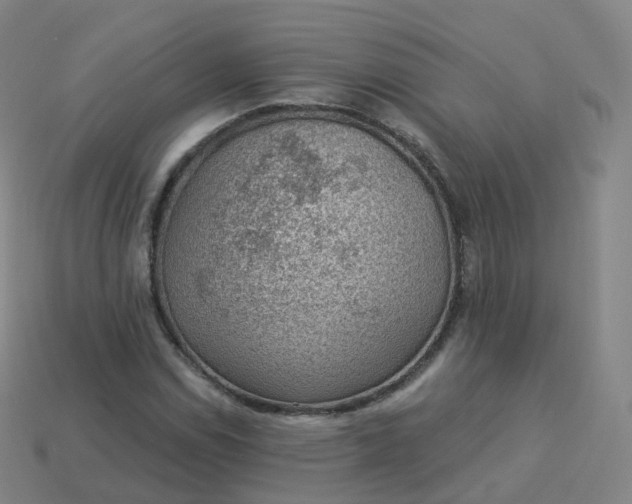 X0000113901114200910081823