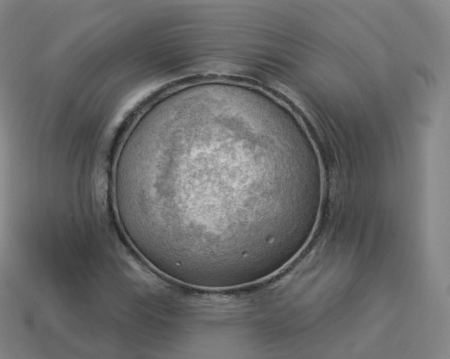 X0000113901115200910081824