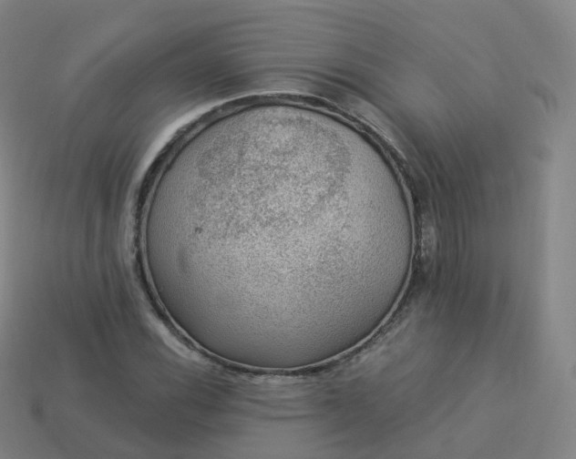 X0000113901116200910081824