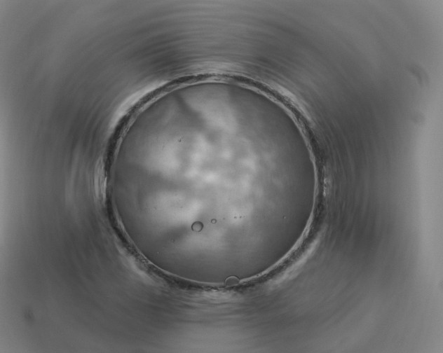 X0000113901117200910081824