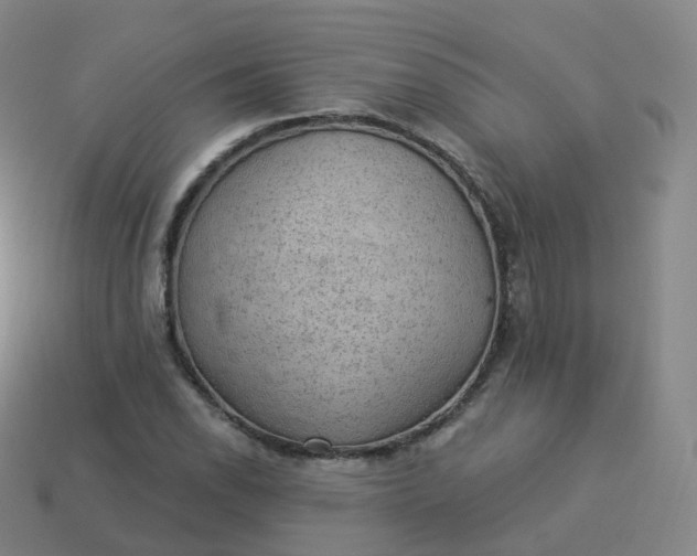 X0000113901118200910081824