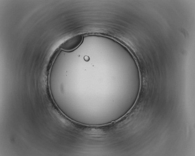 X0000113901119200910081824