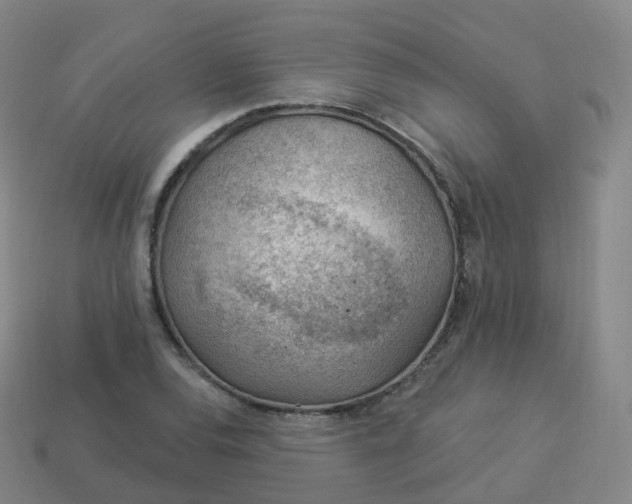 X0000113901120200910081824