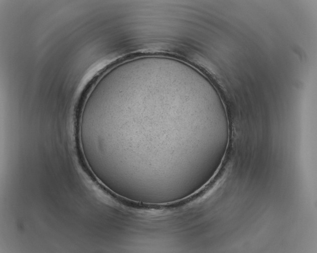 X0000113901122200910081824