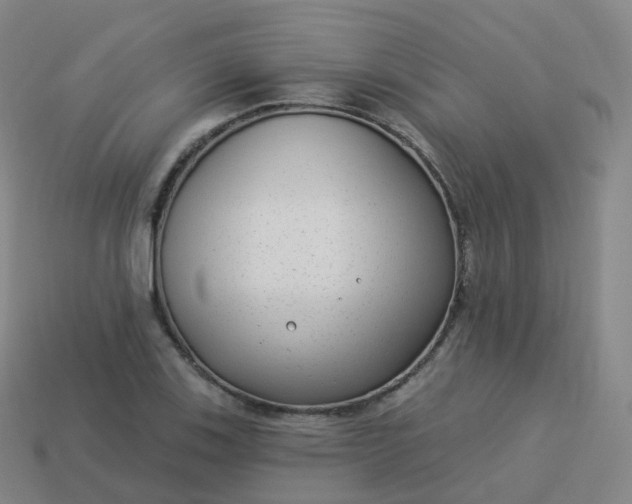 X0000113901123200910081824