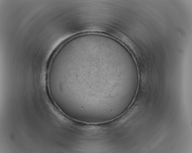 X0000113901124200910081824