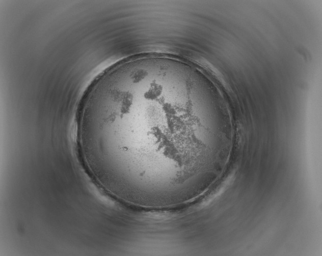 X0000113901125200910081824