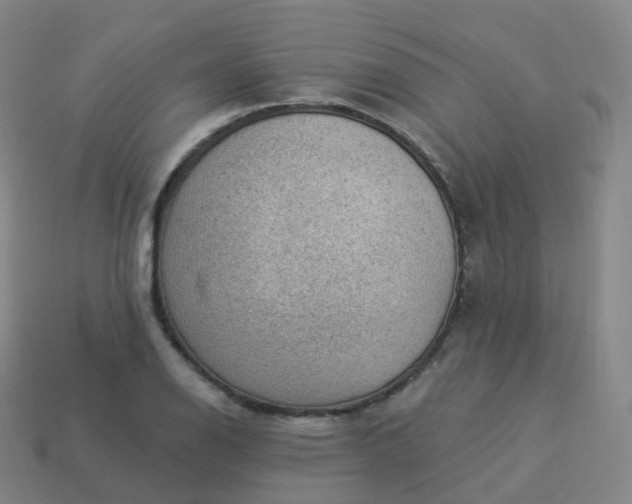 X0000113901126200910081824