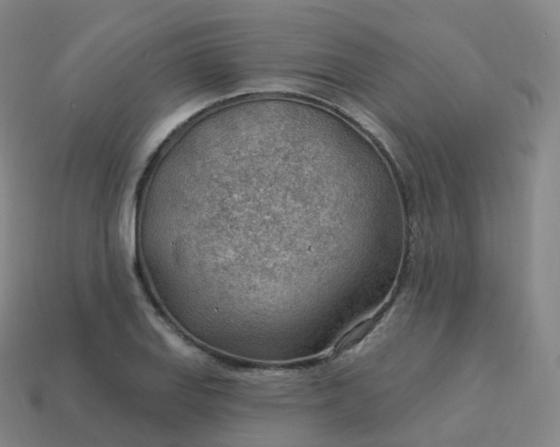 X0000113901127200910081824