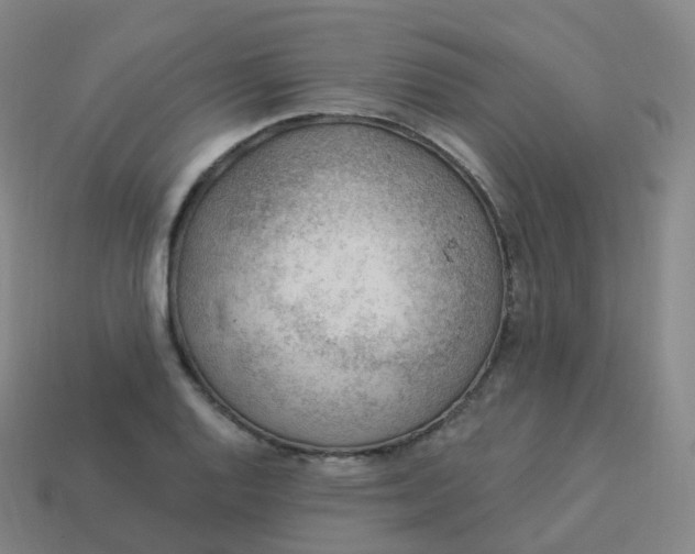 X0000113901128200910081824