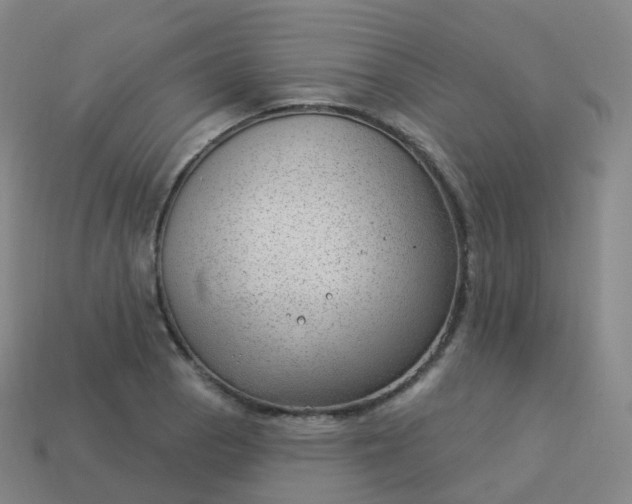 X0000113901129200910081824