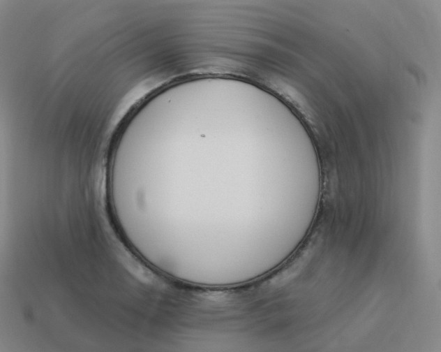 X0000113901130200910081824