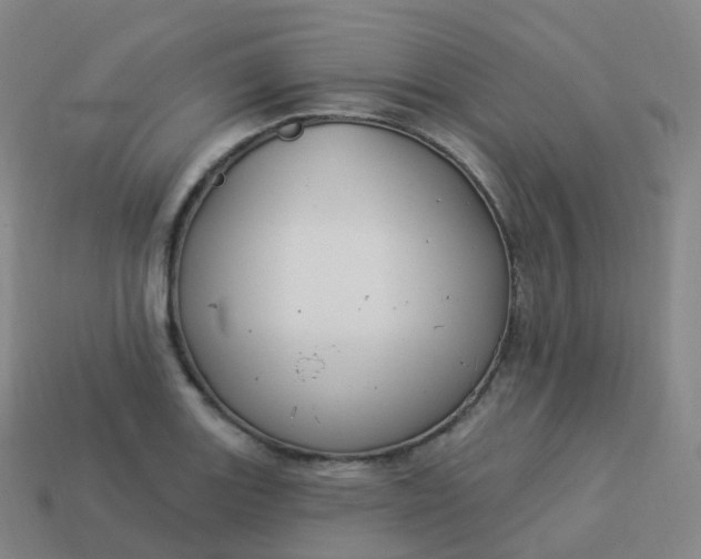 X0000113901131200910081824