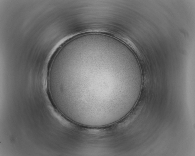 X0000113901132200910081824