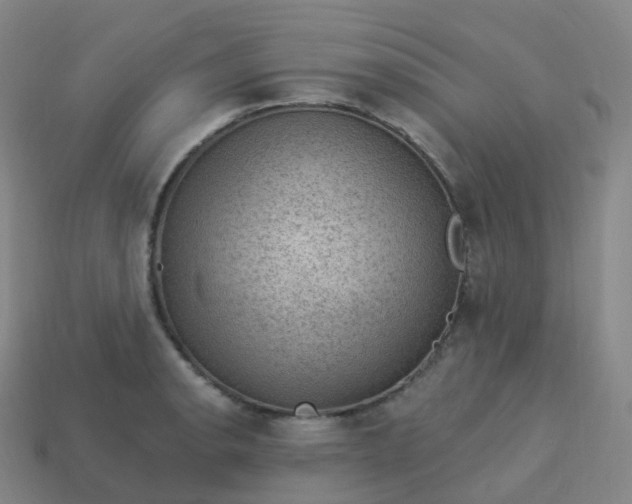 X0000113901134200910081824