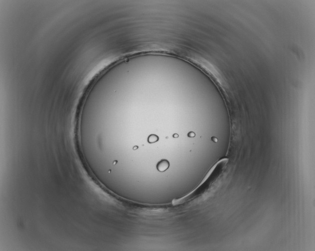 X0000113901135200910081824