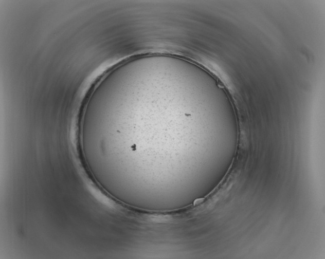 X0000113901136200910081824